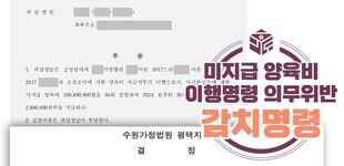 미지급 양육비 이행명령 및 감치명령